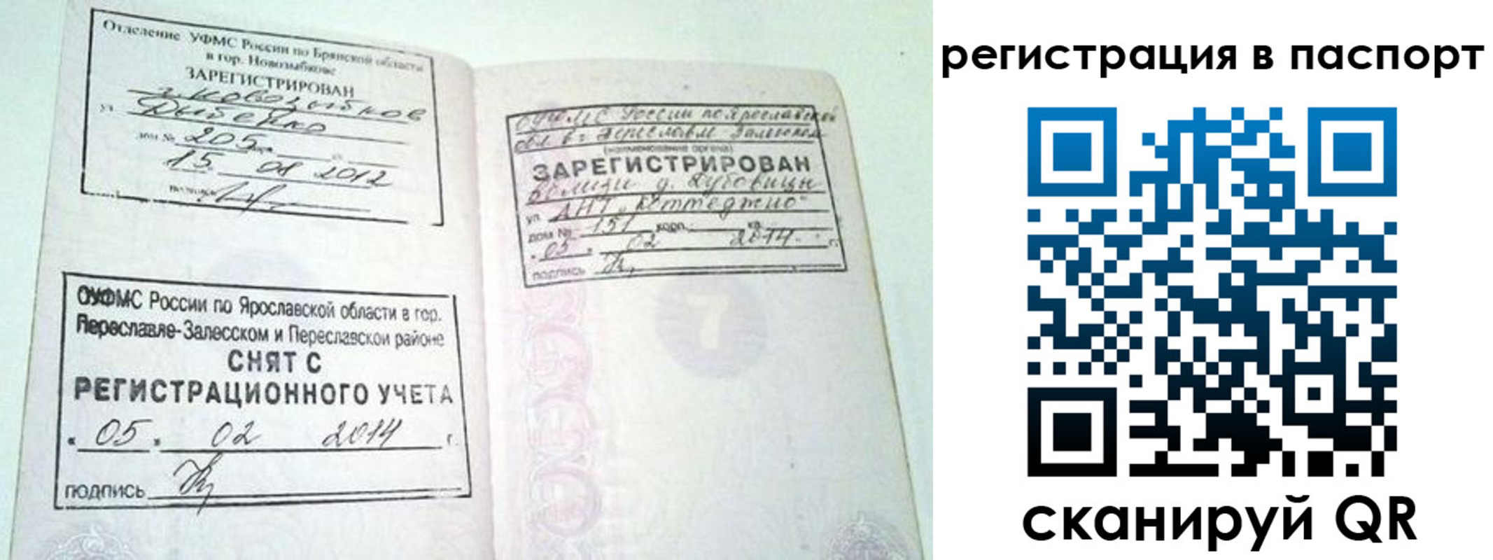 прописка в квартире в Балтийске